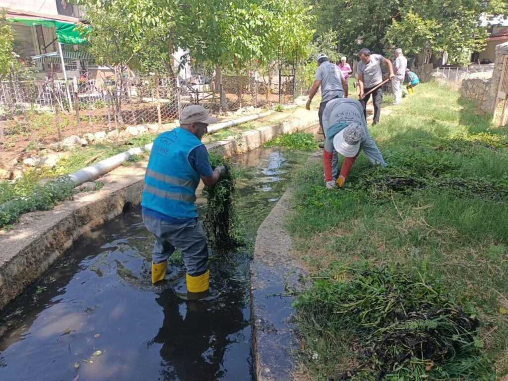 GOKBELEN YAYLASINA CEVRE TEMIZLIGI