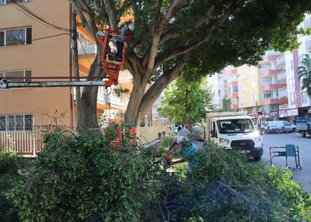 SILIFKE BELEDIYESI KENTI GUZELLESTIRIYOR