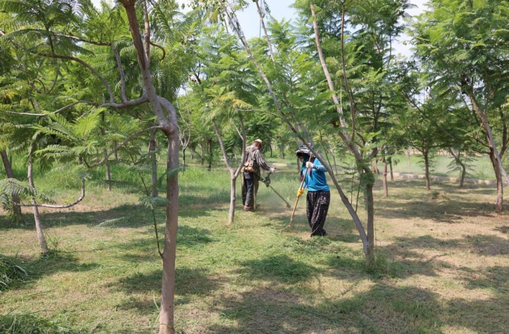 SILIFKE BELEDIYESINDEN SEVGI PARKINDA ORNEK CALISMA