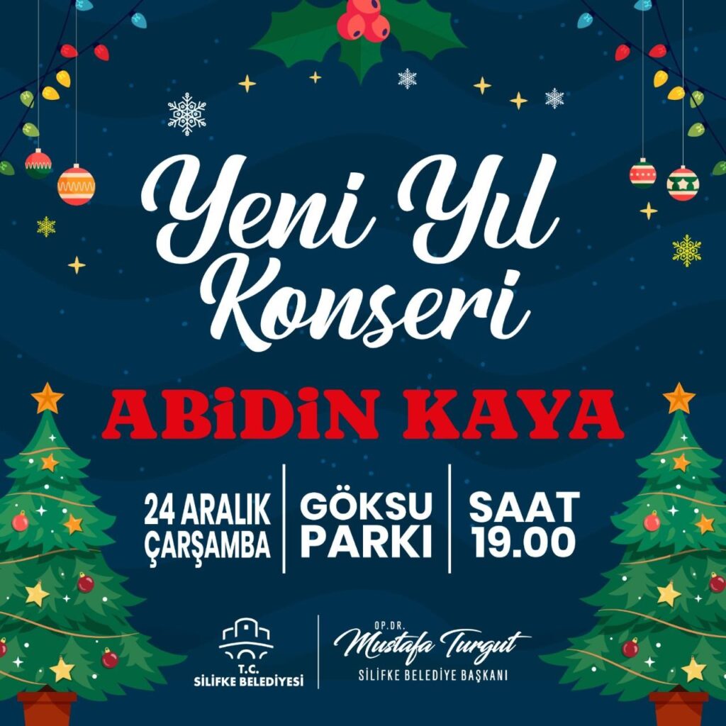 Silifkede Yilbasi Panayirinda Abidin Kaya Konseri