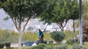 Demokrasi Parkinda Bakim ve Budama Calismasi